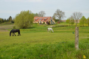 Heu-Ferienhof Altkamp Putbus